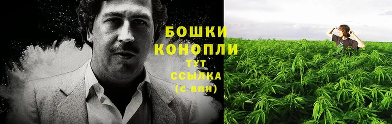 Бошки марихуана Bruce Banner  где найти наркотики  Баксан 